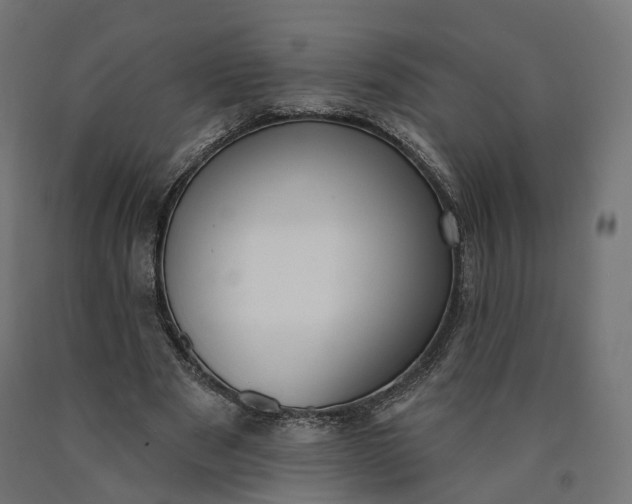 X0000090750489200708031611