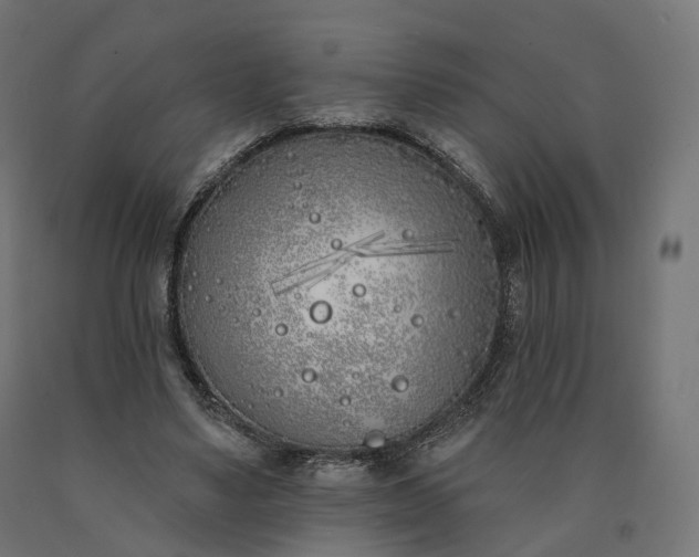 X0000090750491200708031611