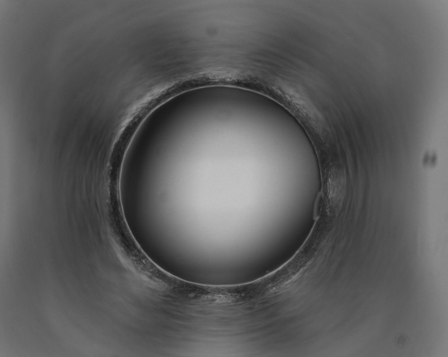 X0000090750492200708031611