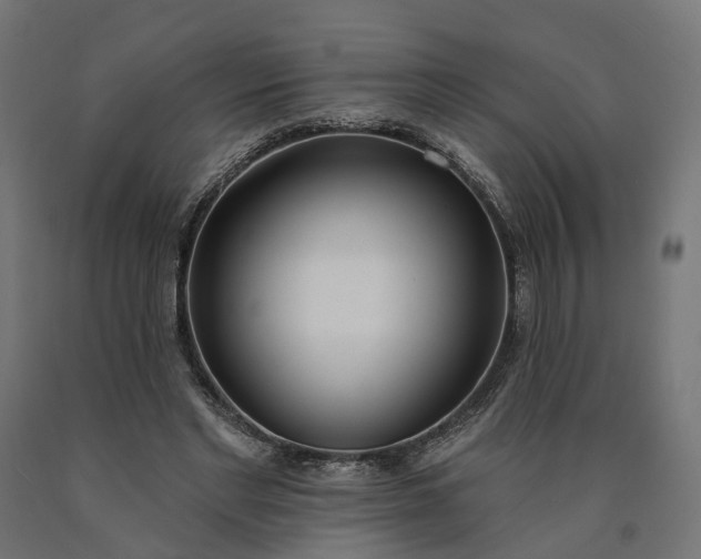 X0000090750493200708031611