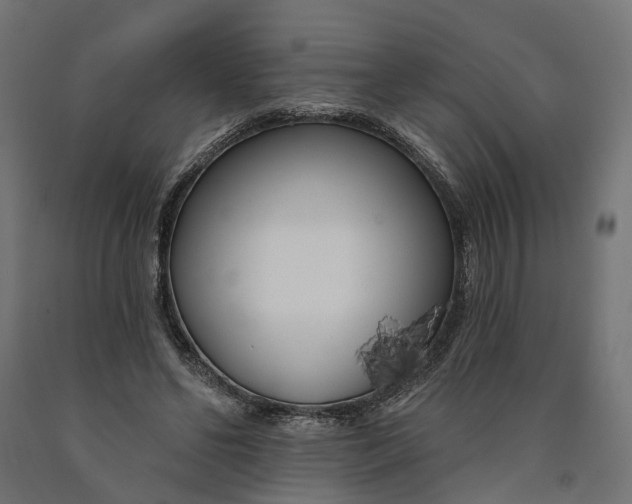 X0000090750494200708031611