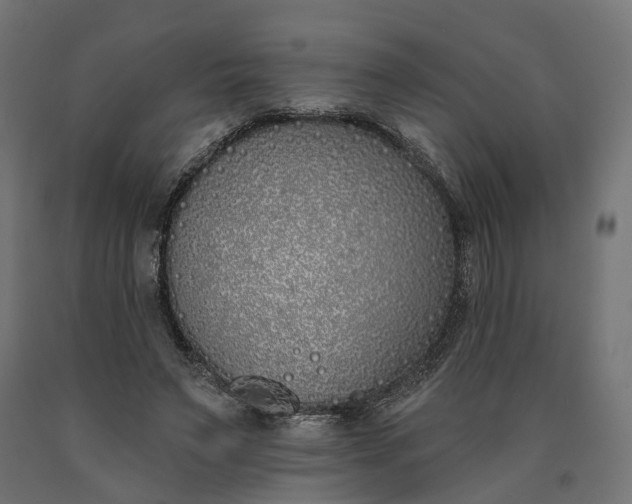 X0000090750495200708031611