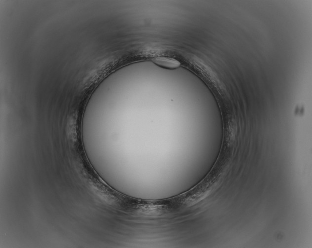 X0000090750497200708031611