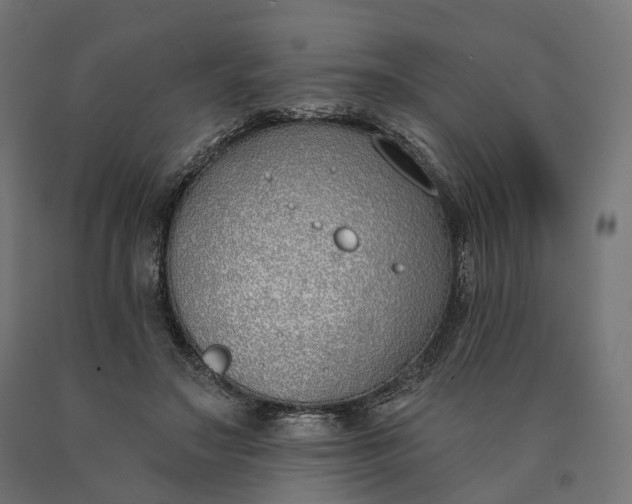 X0000090750499200708031611