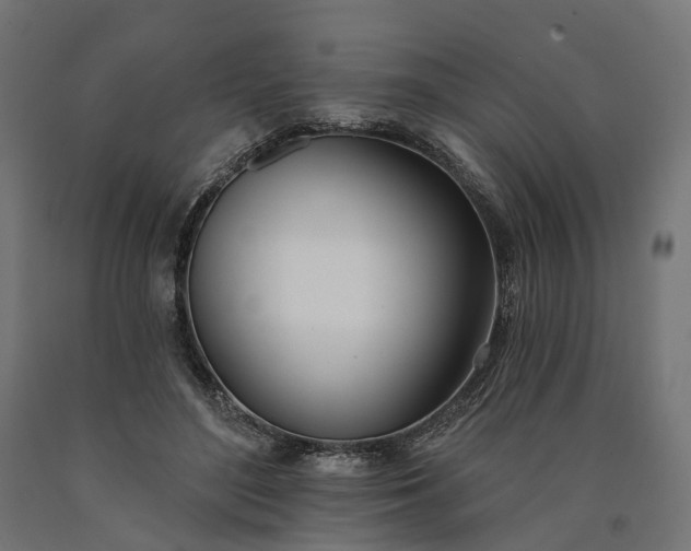 X0000090750500200708031611