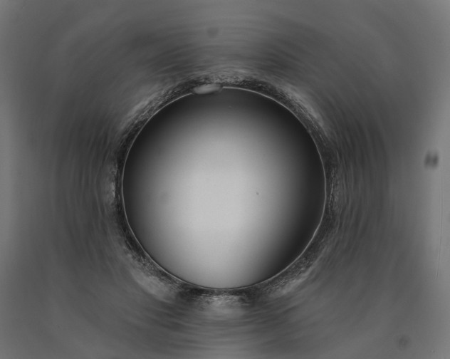 X0000090750501200708031611