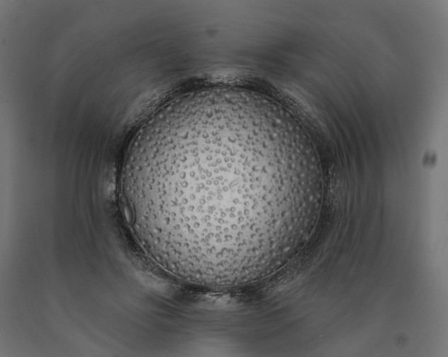 X0000090750502200708031611