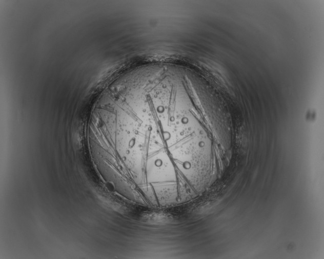 X0000090750503200708031611