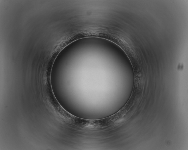 X0000090750504200708031611