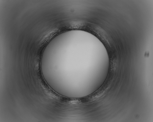 X0000090750505200708031611