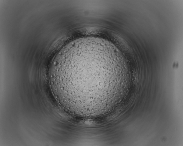 X0000090750506200708031611