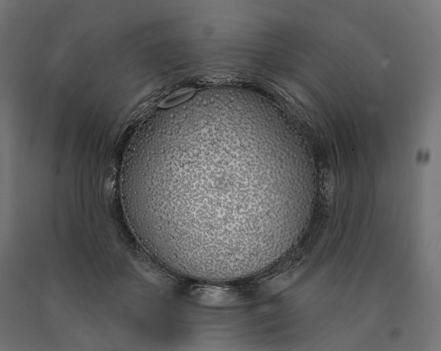 X0000090750507200708031611