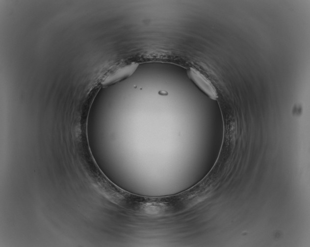 X0000090750508200708031611