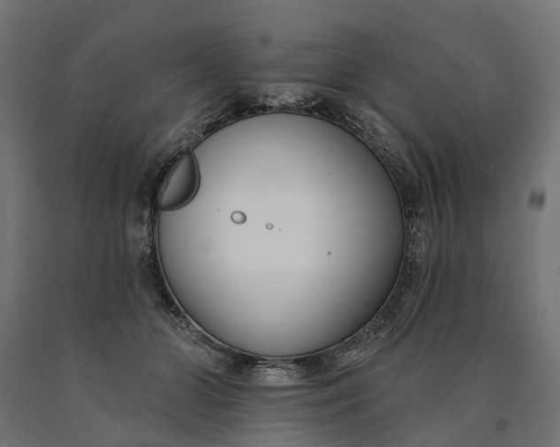 X0000090750510200708031611