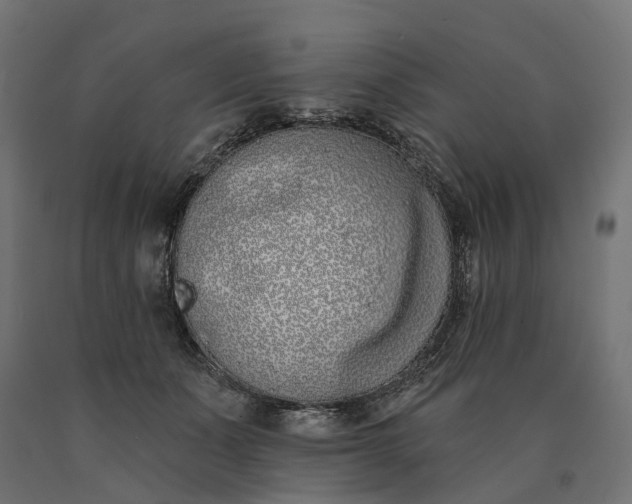 X0000090750511200708031611