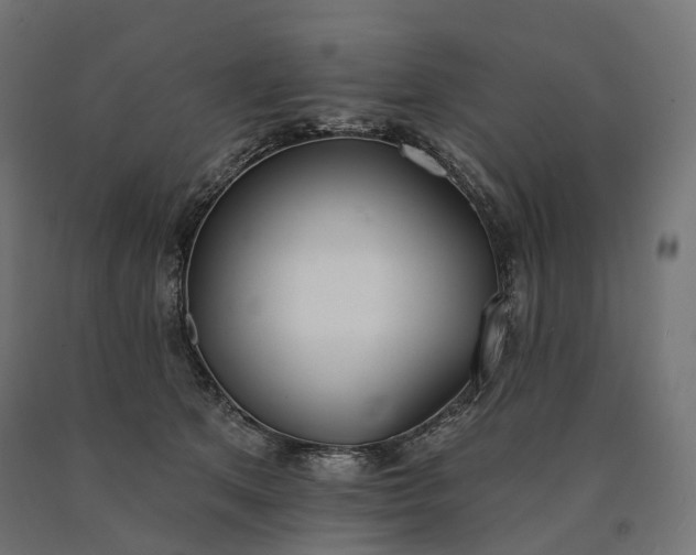 X0000090750513200708031611