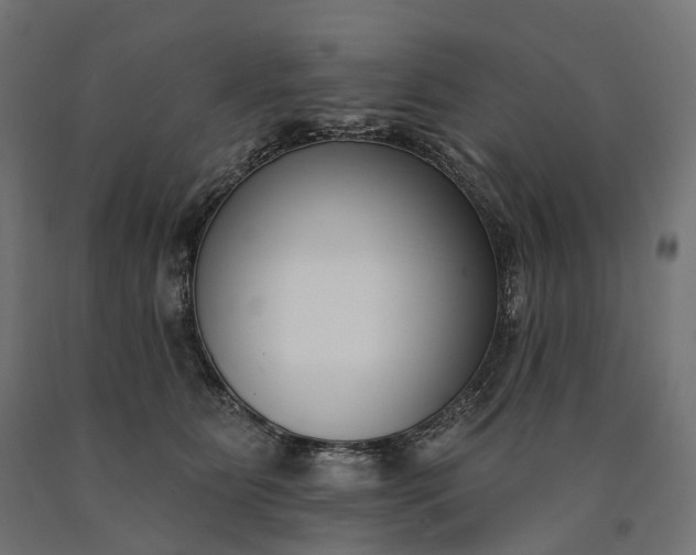 X0000090750515200708031611