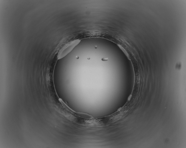 X0000090750516200708031611