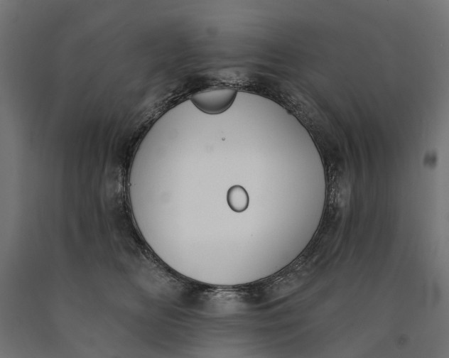 X0000090750518200708031611