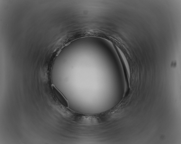 X0000090750520200708031611