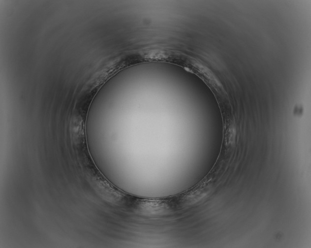 X0000090750521200708031611