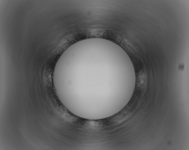 X0000090750522200708031611