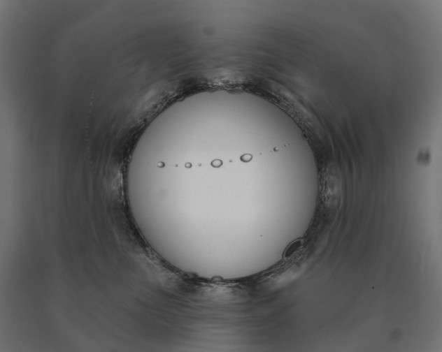 X0000090750523200708031611