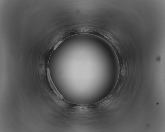 X0000090750524200708031611