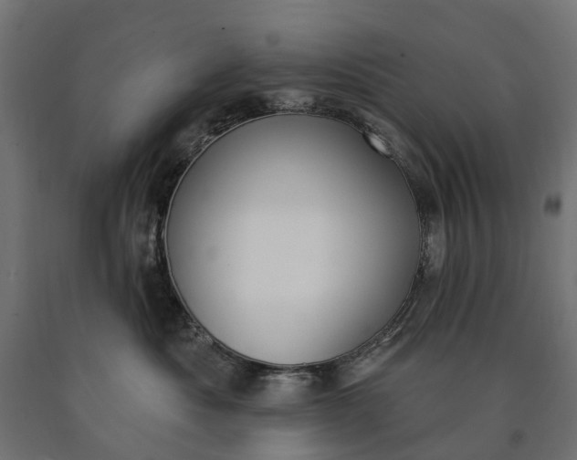 X0000090750525200708031611