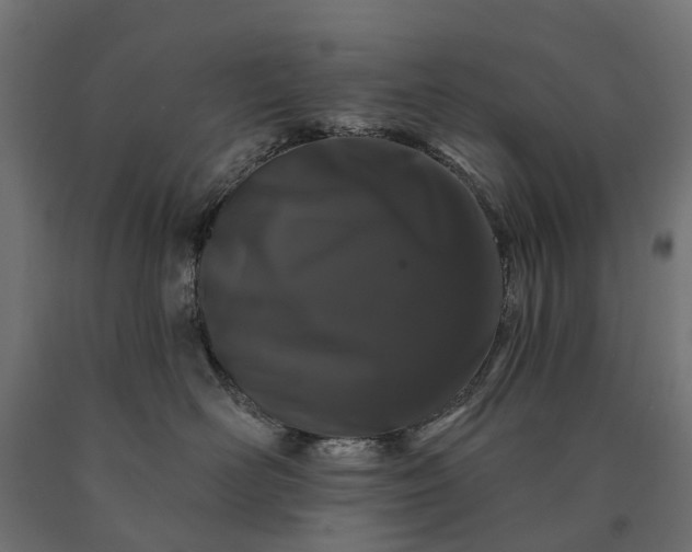 X0000090750526200708031611