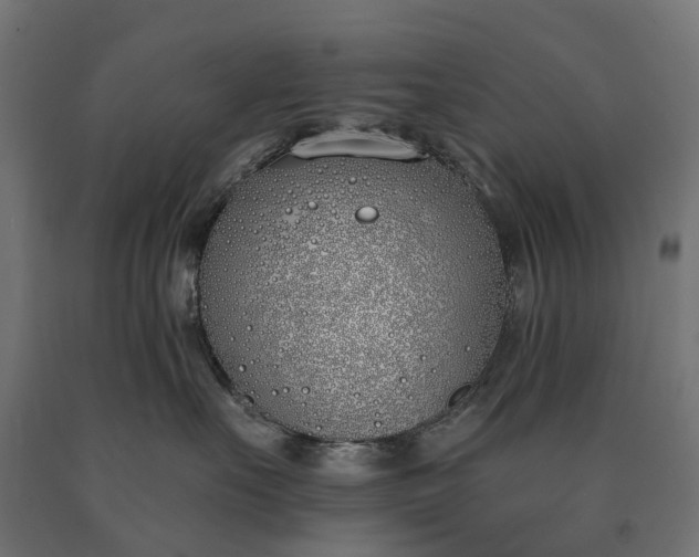 X0000090750527200708031611