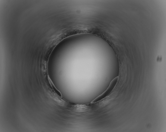 X0000090750528200708031611