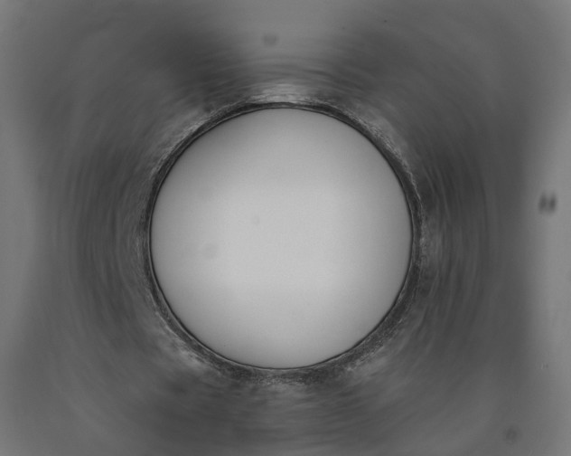 X0000090750529200708031610