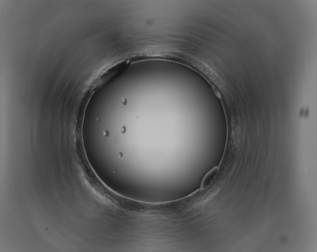 X0000090750530200708031610