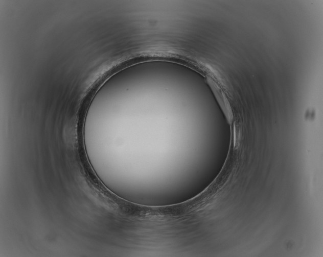 X0000090750531200708031610