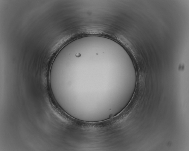 X0000090750533200708031610