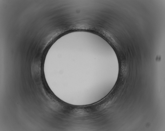 X0000090750534200708031610