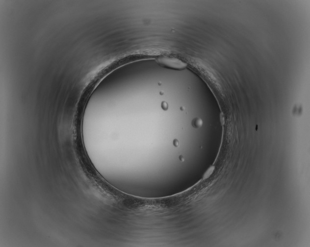 X0000090750536200708031610