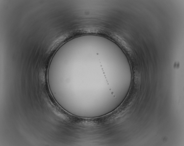 X0000090750537200708031610