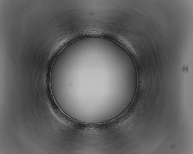 X0000090750538200708031610