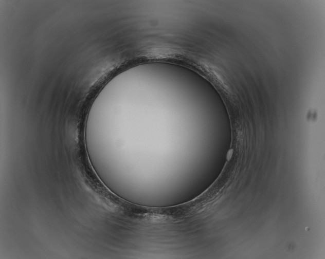 X0000090750539200708031610