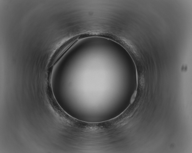 X0000090750540200708031610