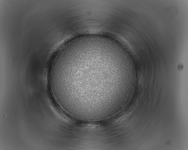 X0000090750542200708031610