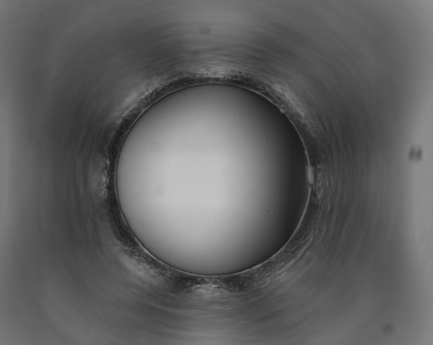 X0000090750544200708031610