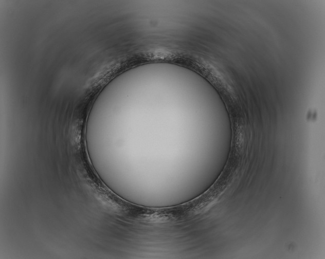 X0000090750545200708031610