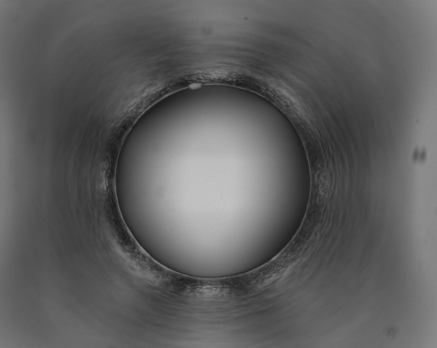 X0000090750546200708031610