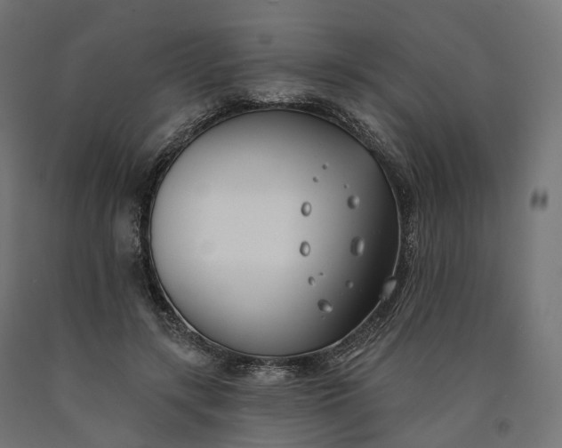 X0000090750547200708031610