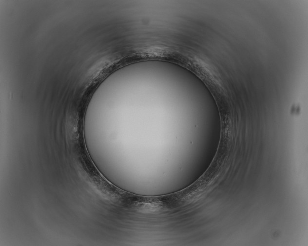 X0000090750548200708031610