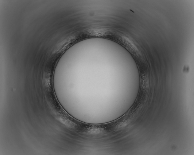 X0000090750549200708031610