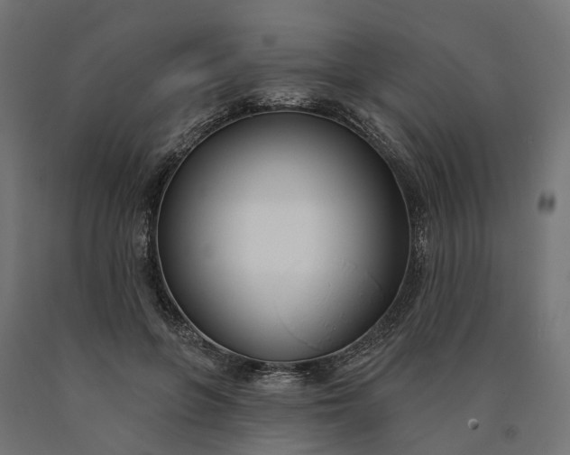 X0000090750551200708031610